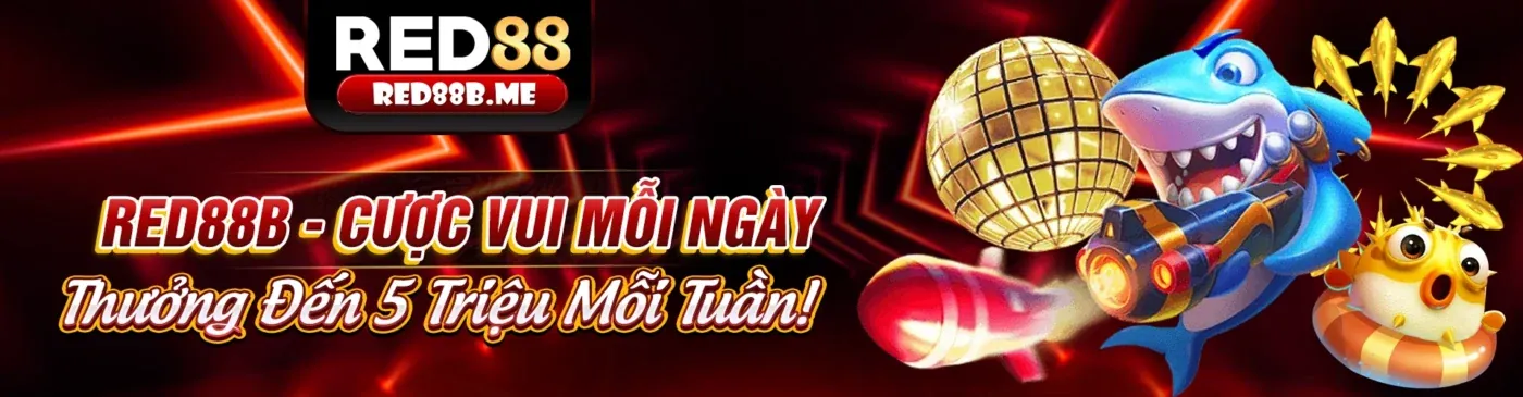 Hình ảnh chính của blog v999 trang chủ chính thức