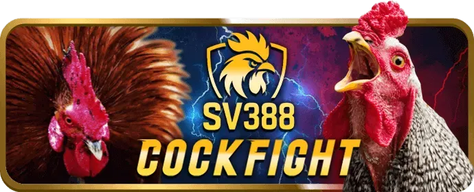 Máy đánh bạc video v999